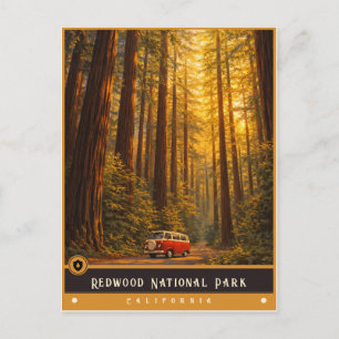 Redwood National Park Vintage Postkarte