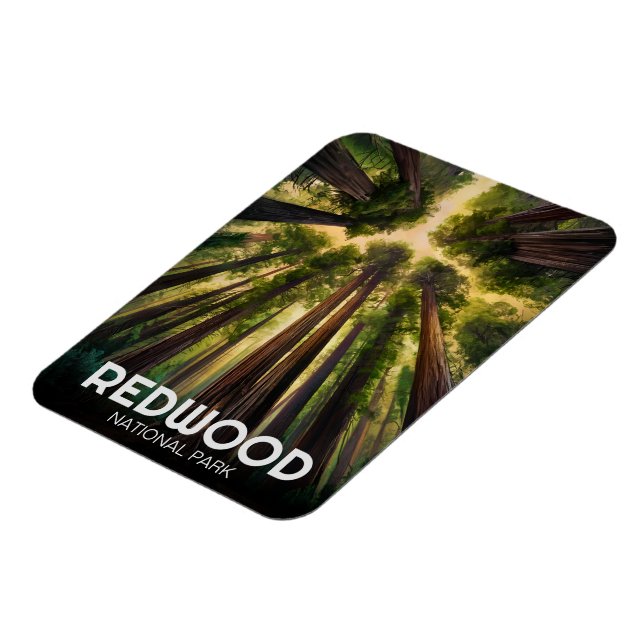 Redwood National Staat Park, Küste Kalifornien Magnet (Linke Seite)