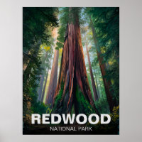 Redwood National Staat Park, Küste Kalifornien
