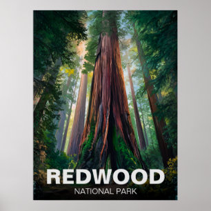 Redwood National Staat Park, Küste Kalifornien Poster