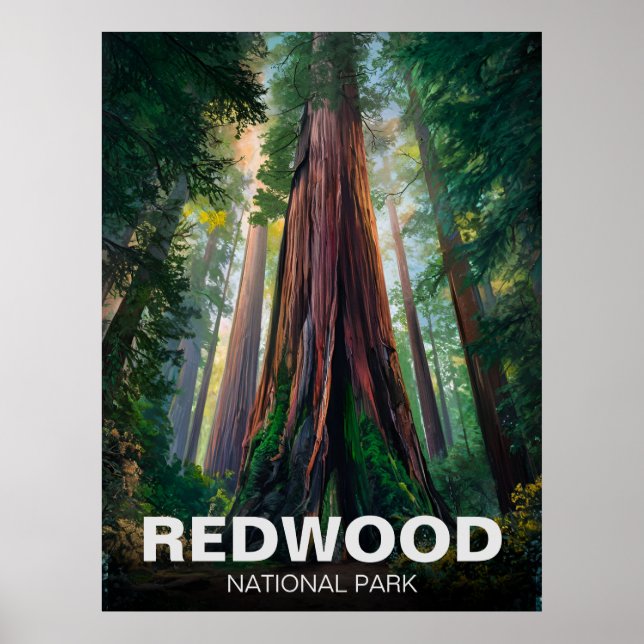 Redwood National Staat Park, Küste Kalifornien Poster (Vorne)