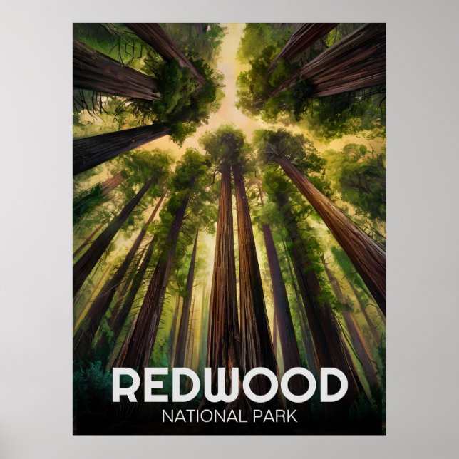 Redwood National Staat Park, Küste Kalifornien Poster (Vorne)