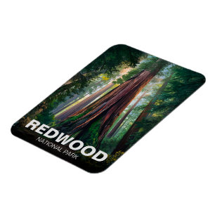 Redwood National State Park, Küstenkalifornien  Magnet