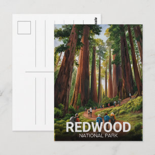 Redwood-National- und Staatspark, Küstenkalifornie Postkarte