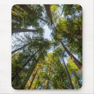 Redwood-National- und Staatsparks, Kalifornien Mousepad