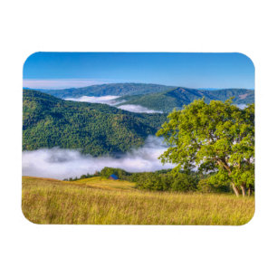 Redwood-Nationalpark, Kalifornien Magnet