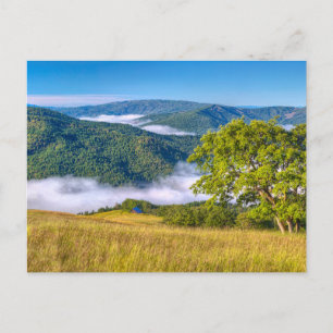 Redwood-Nationalpark, Kalifornien Postkarte