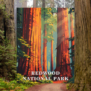 Redwood Nationalpark, Kalifornien Reise-Postkarte Postkarte