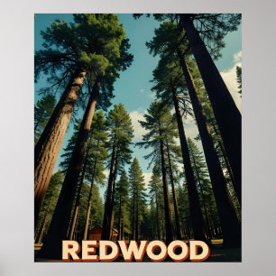Redwood Nationalpark Kalifornien Vintage Poster