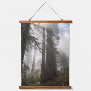 Redwood-Nationalpark Kalifornien Wandteppich Mit Holzrahmen