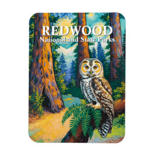 Redwood-Nationalpark Wald Eule Van Gogh Stil Magnet