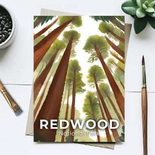 Redwood Nationalpark   Wasserfarben Hoher Wald Postkarte