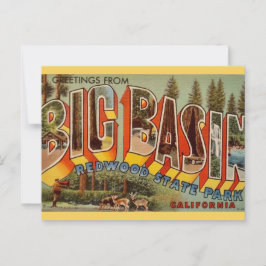 Redwood Park Postcard Big Basin Postkarte