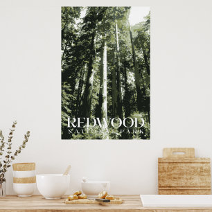 Redwood Poster, Nationalpark Print Poster