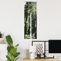 Redwood Print, National Park Poster, 12x36"