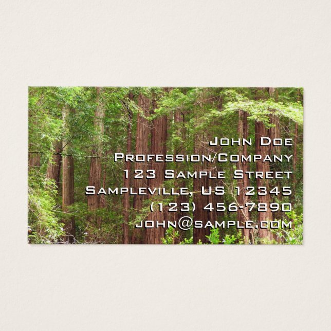 Redwood Trees at Muir Woods National Monument (Vorderseite)