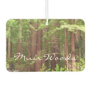 Redwood Trees at Muir Woods National Monument Autolufterfrischer