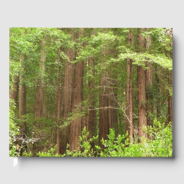 Redwood Trees at Muir Woods National Monument Gästebuch (Vorderseite)