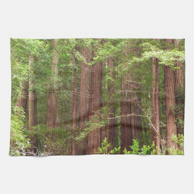 Redwood Trees at Muir Woods National Monument Handtuch (Horizontal)