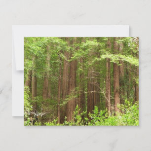 Redwood Trees at Muir Woods National Monument Karte