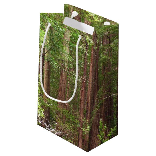 Redwood Trees at Muir Woods National Monument Kleine Geschenktüte (Rückseite Schrägansicht)