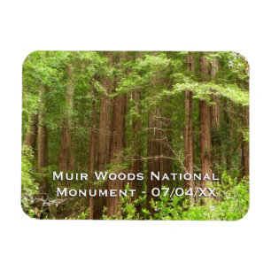 Redwood Trees at Muir Woods National Monument Magnet