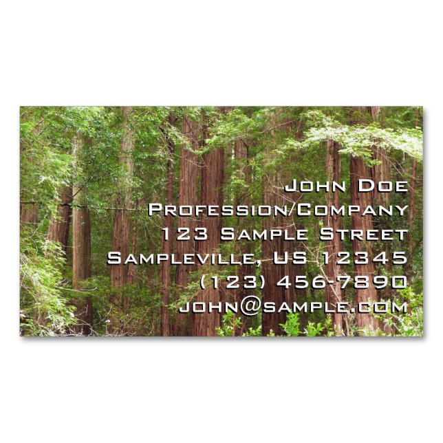 Redwood Trees at Muir Woods National Monument Magnetische Visitenkarte (Vorderseite)