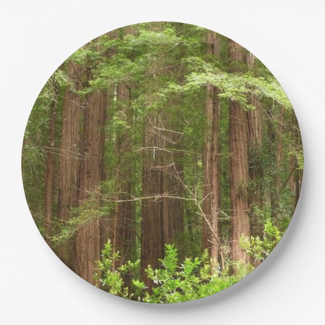 Redwood Trees at Muir Woods National Monument Pappteller (Vorderseite)
