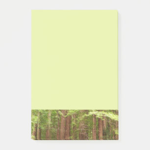 Redwood Trees at Muir Woods National Monument Post-it Klebezettel