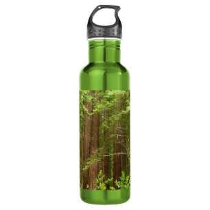 Redwood Trees at Muir Woods National Monument Trinkflasche