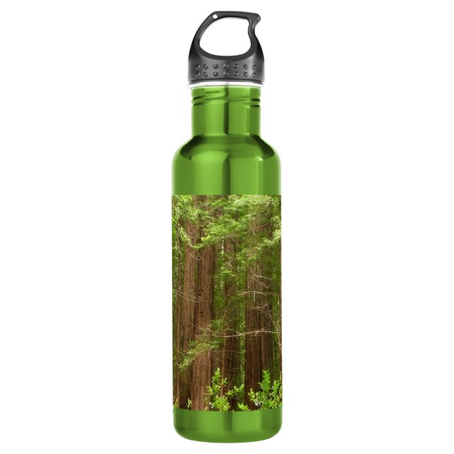 Redwood Trees at Muir Woods National Monument Trinkflasche (Vorderseite)
