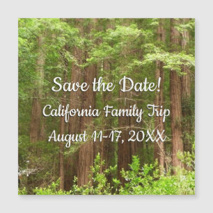 Redwood Trees at Muir Woods Save the Date Magnetkarte