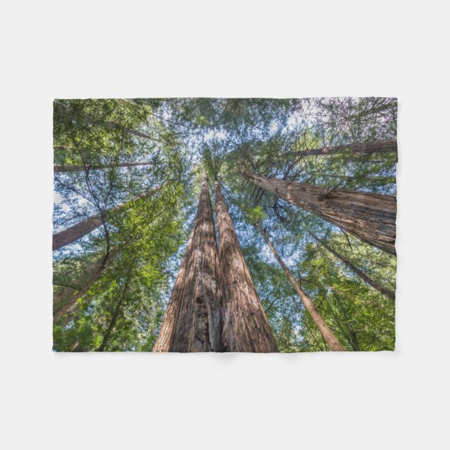 Redwood Trees | Marin Landkreis, Kalifornien Fleecedecke (Vorderseite (Horizontal))