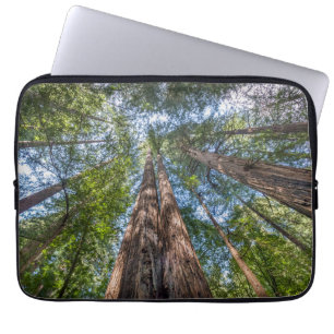 Redwood Trees Marin Landkreis, Kalifornien Laptopschutzhülle