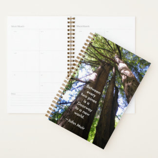Redwood Trees mit Muir Quote Planer