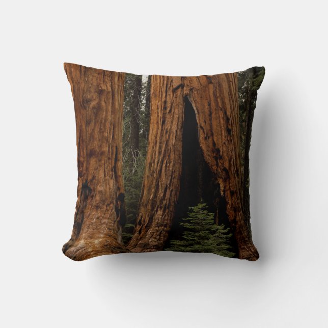 Redwood Trees, Sequoia Nationalpark. Kissen (Vorderseite)