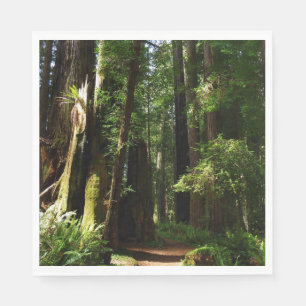 Redwood und Ferns im Redwood-Nationalpark Serviette