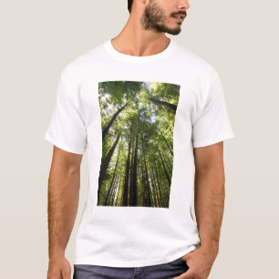 Redwood-Wald, Rotorua, Neuseeland T-Shirt