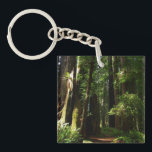Redwoods and Ferns at Redwood National Park Schlüsselanhänger<br><div class="desc">The trails at Redwood National Park are typically quite peaceful and serene like the one in this picture. When you walk in Redwood National Park, you are of course surrounded by redwood trees, but also contrasting patches of bright green ferns. This product features the popular wallpaper "Redwoods and Ferns" from...</div>