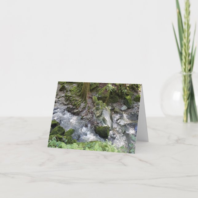 Redwoods Bach kaskadiert über Felsen notecard Dankeskarte (Vorderseite)