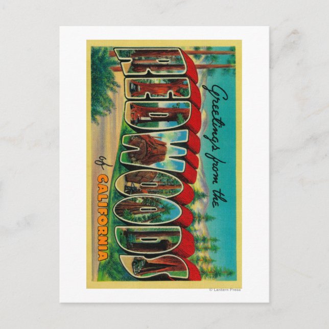 Redwoods, Kalifornien - Große Briefmarkenszenen Postkarte (Vorderseite)