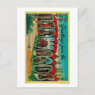 Redwoods, Kalifornien - Große Briefmarkenszenen Postkarte