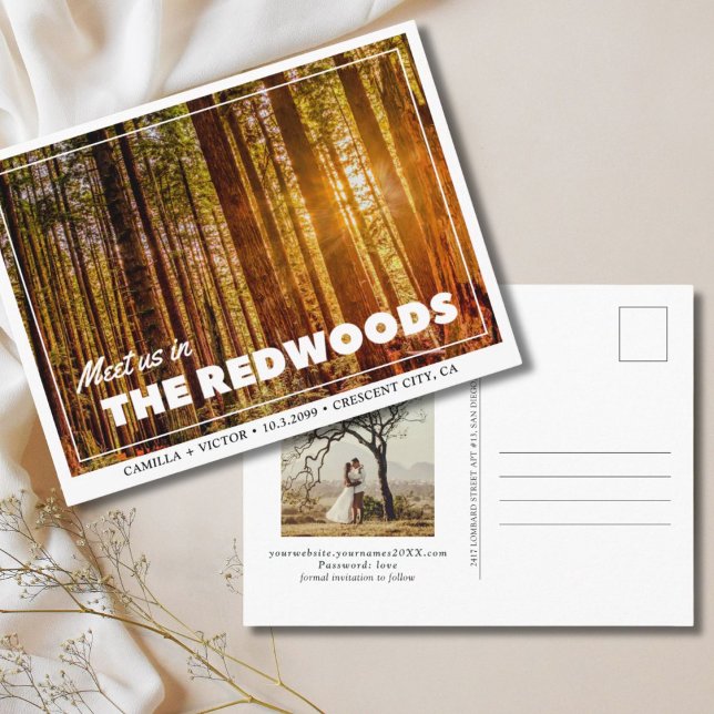 Redwoods Mariage la carte postale Date (redwoods national park wedding save the date)