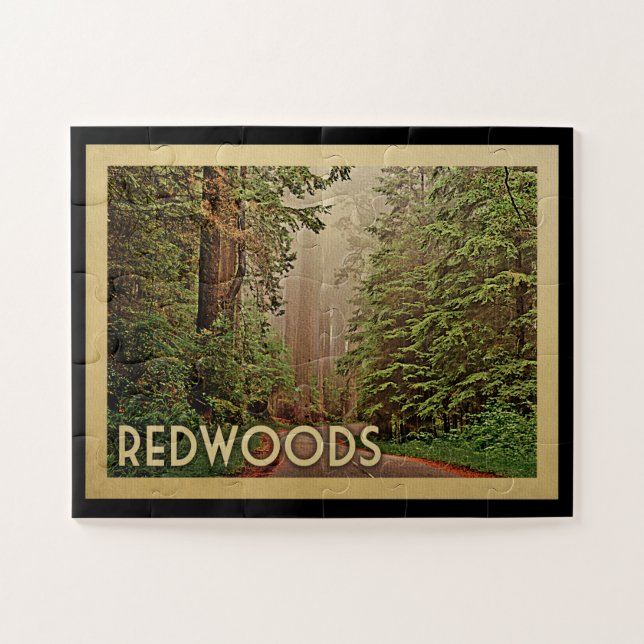 Redwoods National Park California (Horizontal)