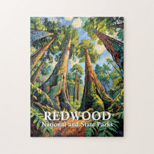 Redwoods Nationalpark Kalifornien Van Gogh Custom