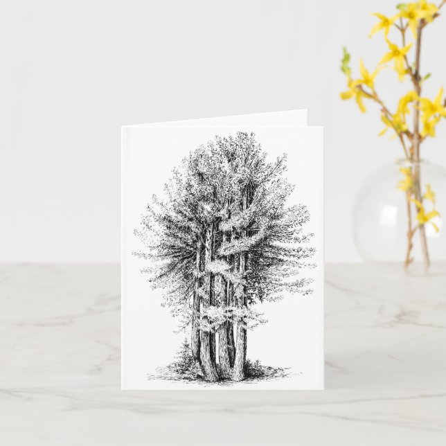 Redwoods Notecard Karte (Gelbe Blume)