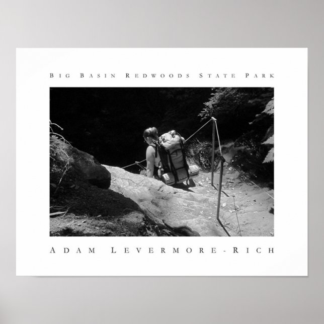 Redwoods Staat Park Poster (Vorne)