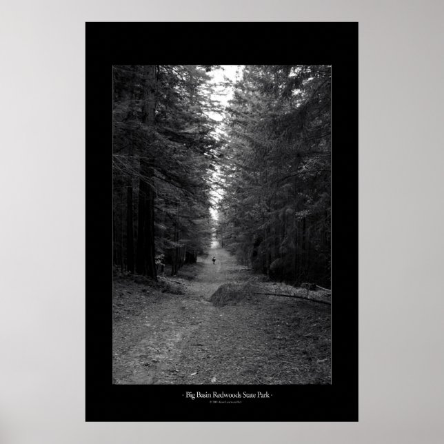 Redwoods Staat Park Poster (Vorne)