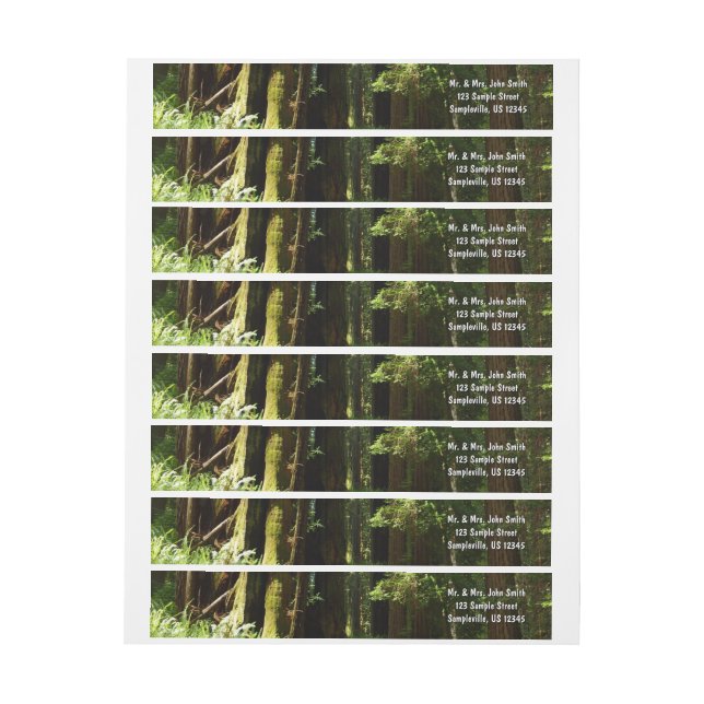 Redwoods und Ferns im Redwood-Nationalpark (Bogen)