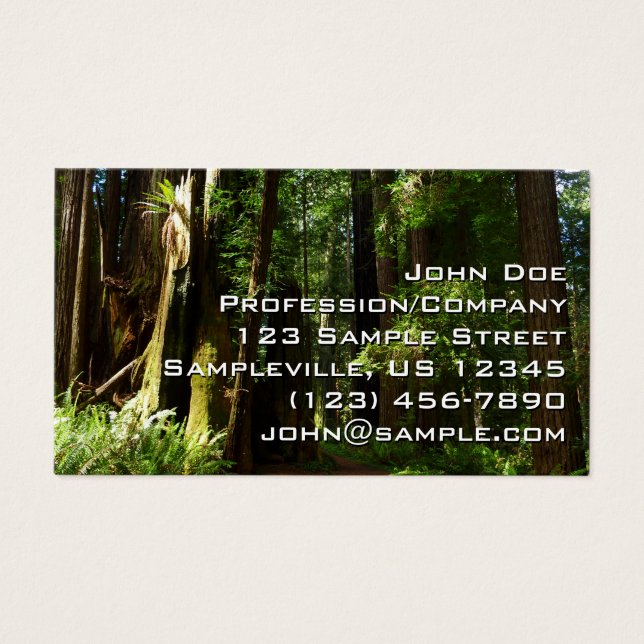 Redwoods und Ferns im Redwood-Nationalpark (Vorderseite)
